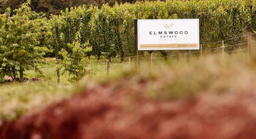 Elmswood vineyard | Halliday Wine Companion